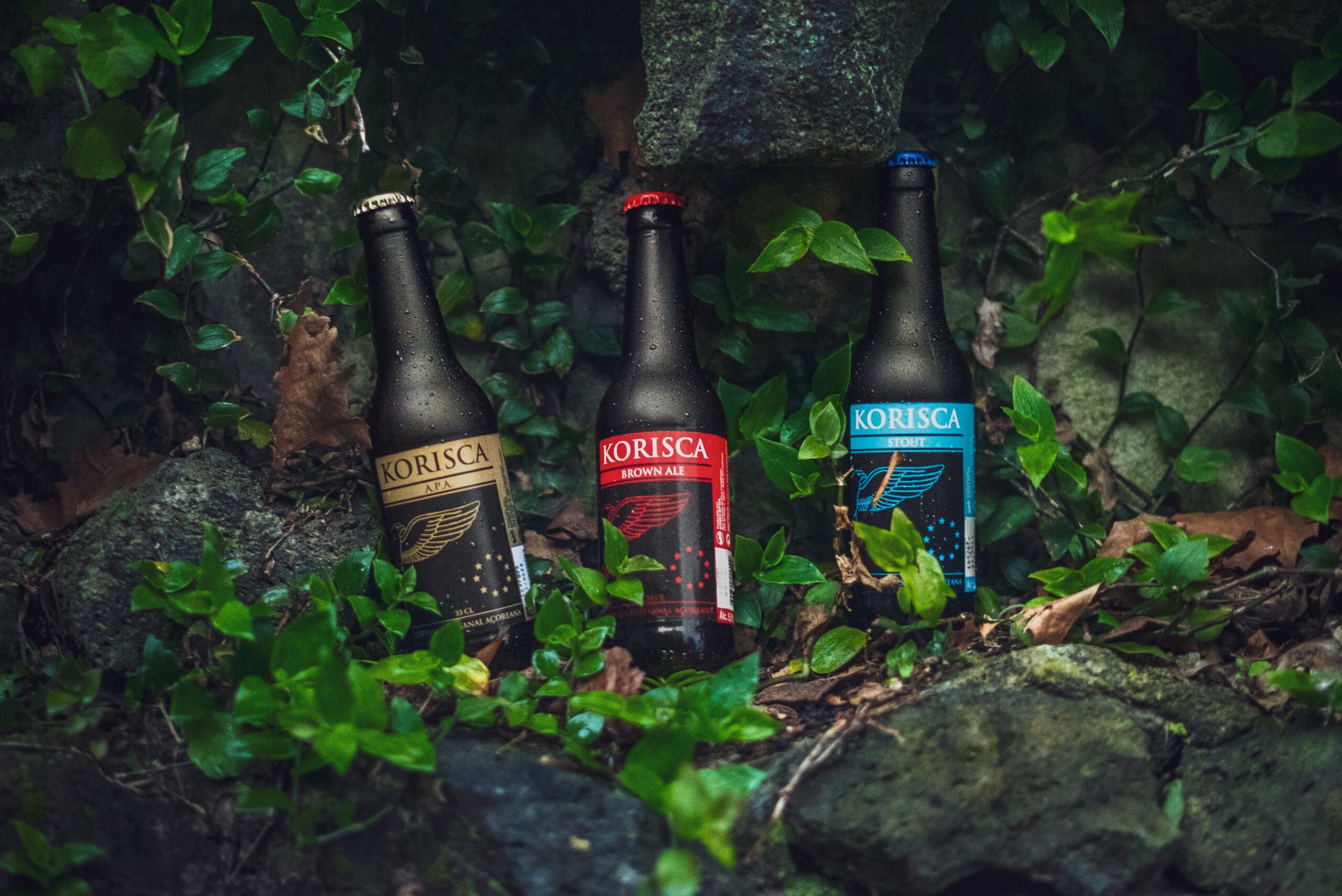 Cerveja artesanal açoriana Korisca Clássica II (APA), Korisca Clássica I (Brown Ale) e Korisca Clássica III (Stout), com vegetação verde e pedra escura, São Miguel, Açores.